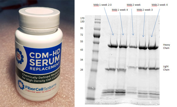 血清替代物 CDM-HD Serum Replacement